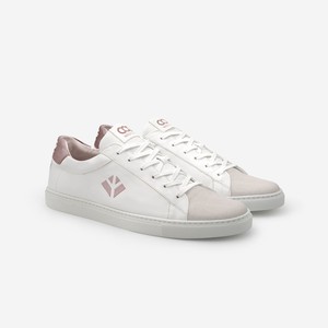 winton - rose white from COG
