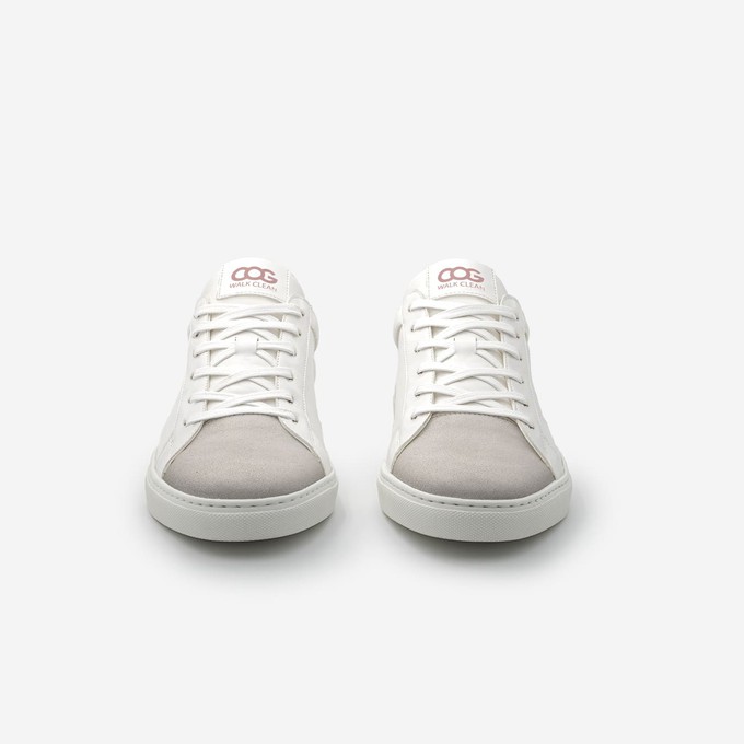 winton - rose white from COG