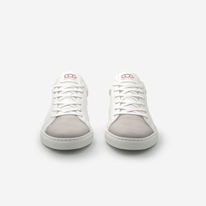 winton - rose white from COG