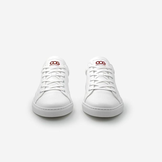 winton - red white from COG