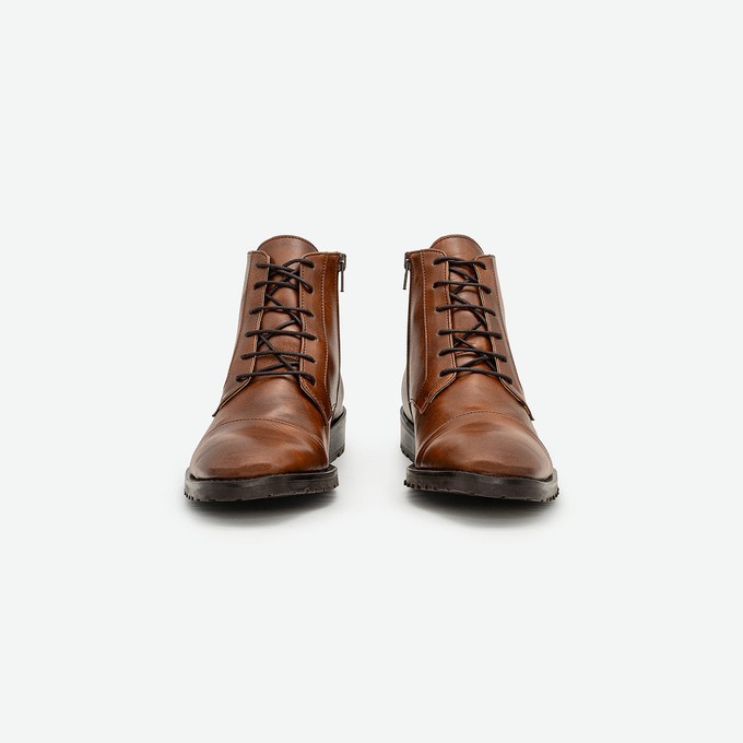 lincoln - brown from COG lincoln - brown from COG