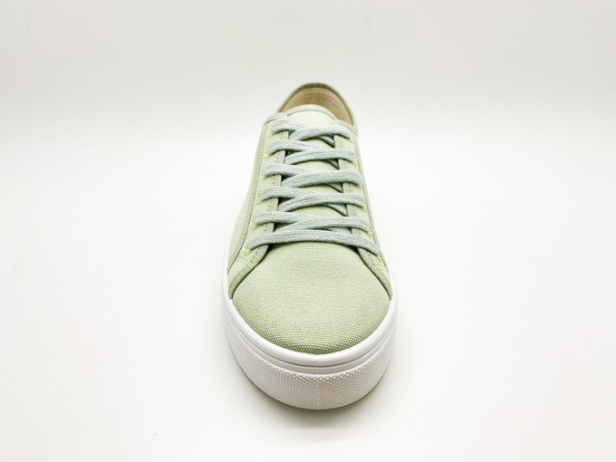 thies ® Natural Dye Plain Sneaker vegan light green (W/X) from COILEX