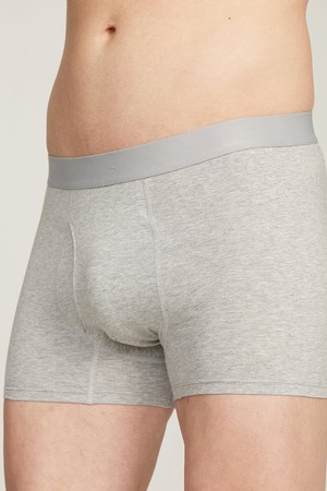 Organic Cotton Boxer Brief from Ecoer Fashion