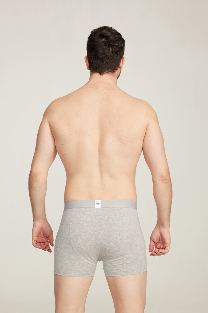 Organic Cotton Buttery Soft Boxer Brief from Ecoer Fashion