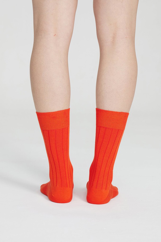 (2 Pairs) Men's Classic Rib Calf Pima Cotton Socks from Ecoer Fashion