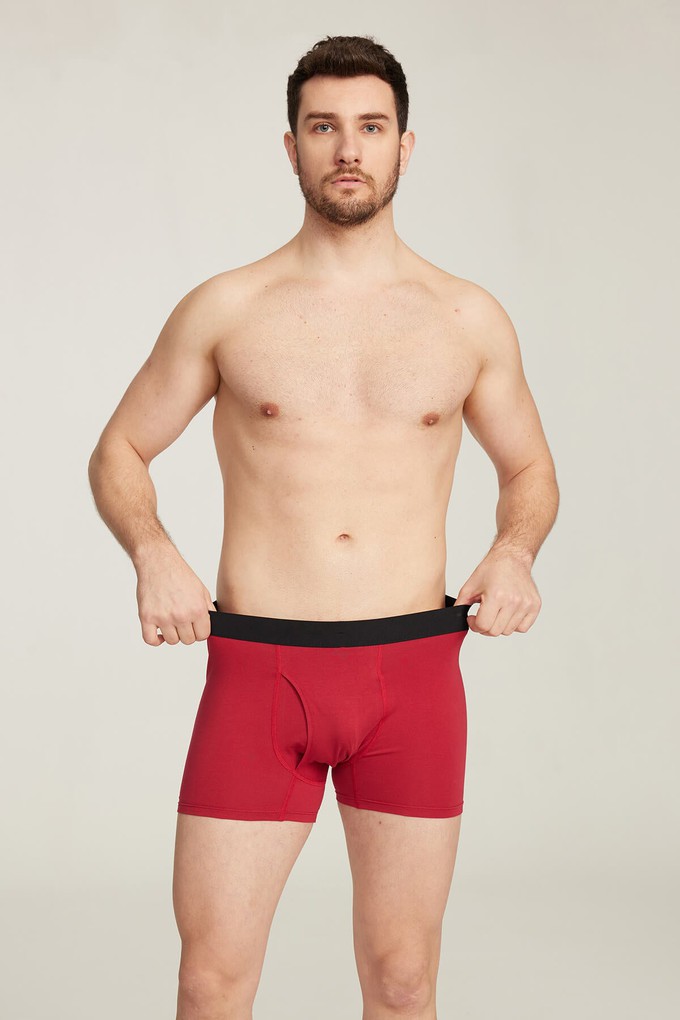 Organic Cotton Boxer Brief from Ecoer Fashion