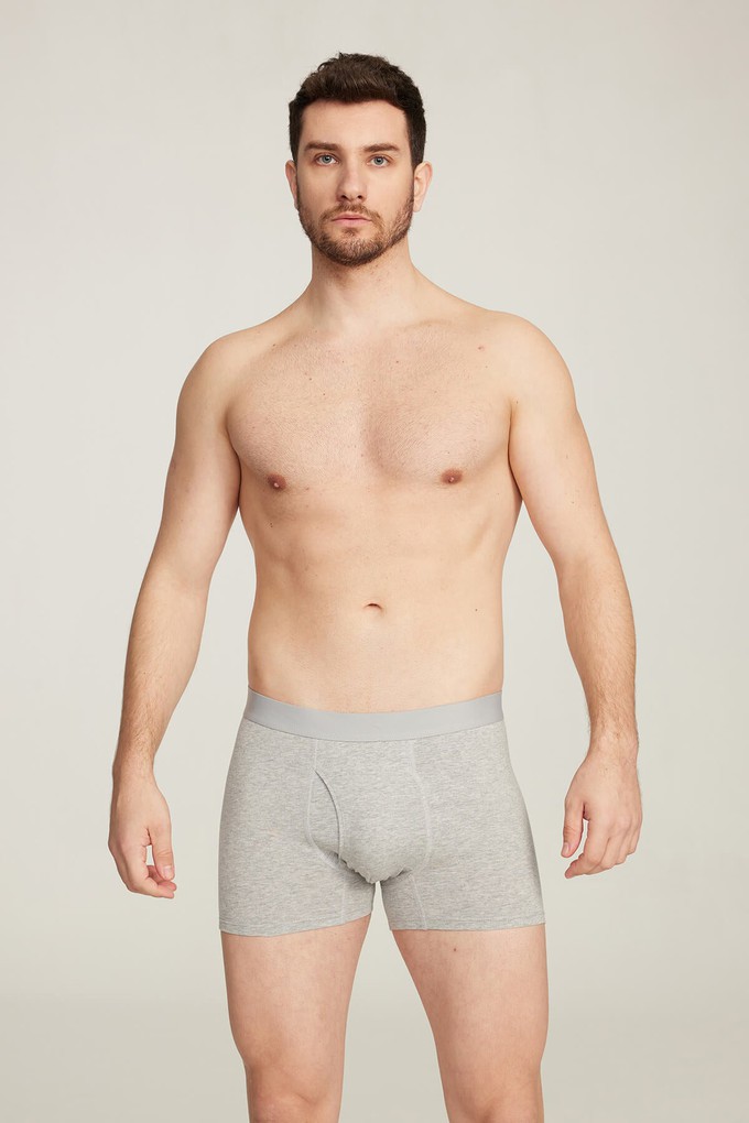 Organic Cotton Boxer Brief from Ecoer Fashion