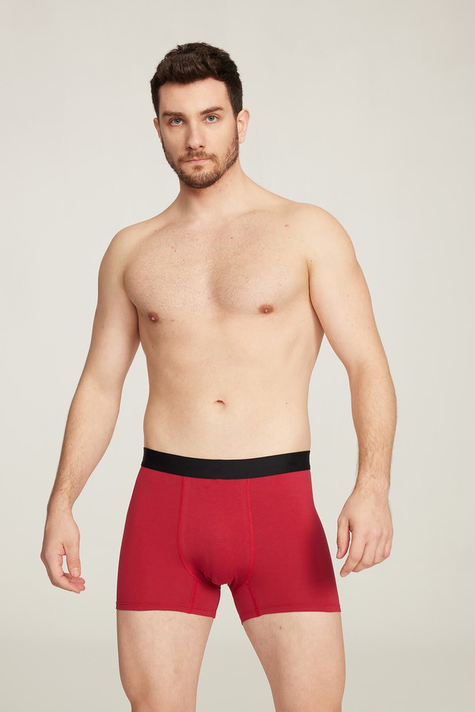 Organic Cotton Buttery Soft Boxer Brief from Ecoer Fashion