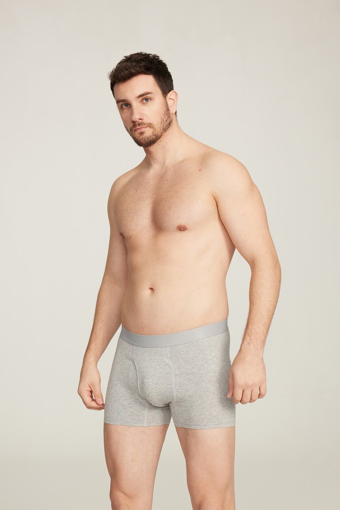 Organic Cotton Boxer Brief from Ecoer Fashion