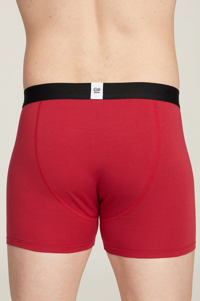 Organic Cotton Boxer Brief from Ecoer Fashion