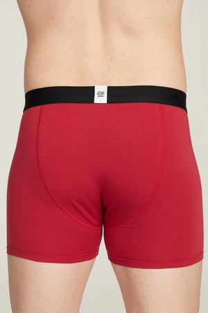 Organic Cotton Boxer Brief from Ecoer Fashion