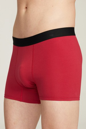 Organic Cotton Buttery Soft Boxer Brief from Ecoer Fashion