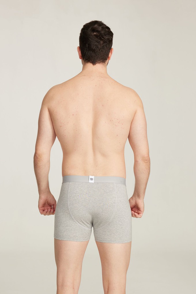 Organic Cotton Boxer Brief from Ecoer Fashion