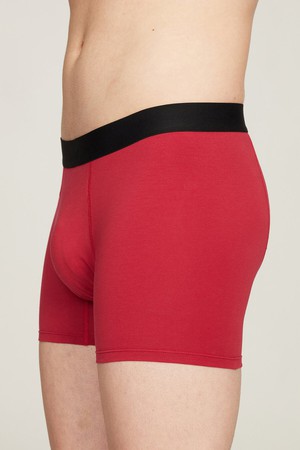 Organic Cotton Boxer Brief from Ecoer Fashion