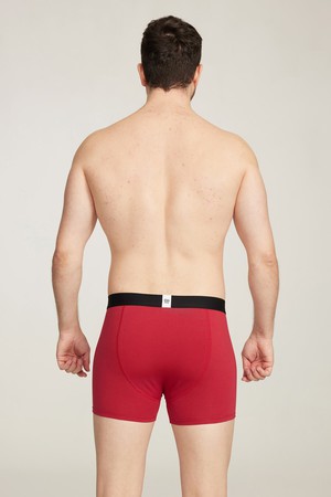 Organic Cotton Buttery Soft Boxer Brief from Ecoer Fashion