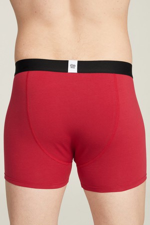 Organic Cotton Buttery Soft Boxer Brief from Ecoer Fashion