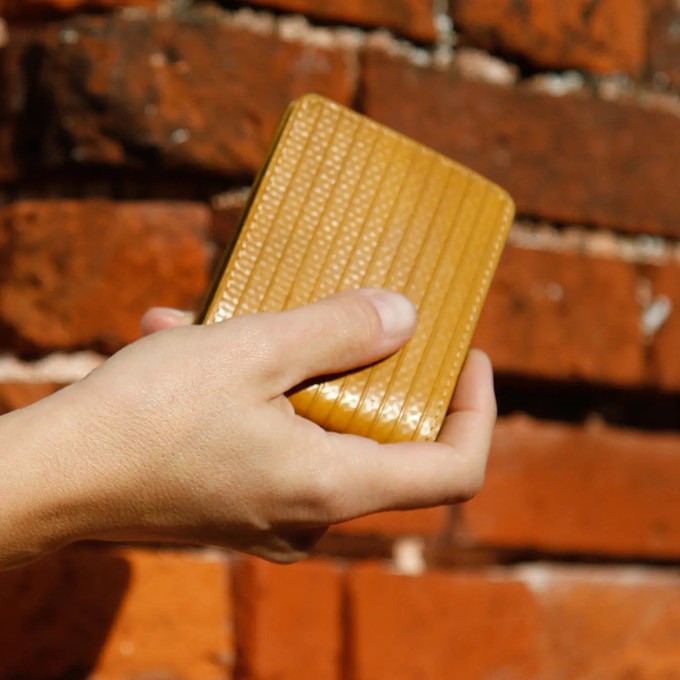 Double Cardholder | Fire-hose from Elvis & Kresse