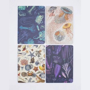 Ocean pocket notebook set from Fairy Positron