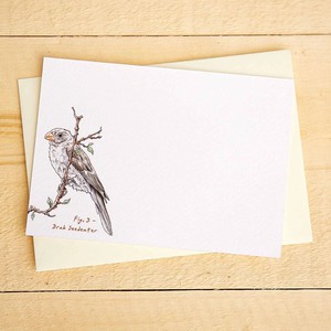 Set of 10 cards "Impeckably Fowl" from Fairy Positron