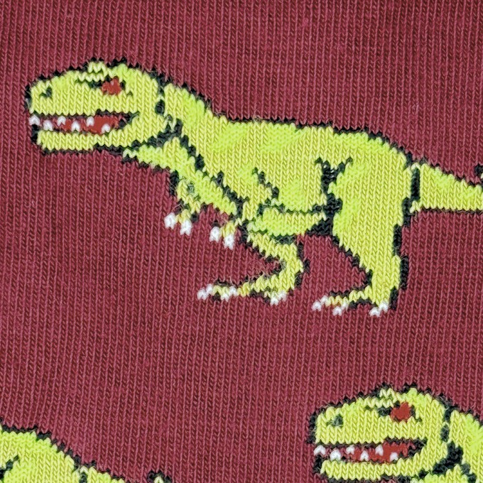 Sokken T-rex from Fairy Positron