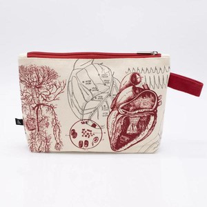 Pouch anatomical heart from Fairy Positron