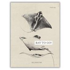 Greeting card ray "Ray to go" from Fairy Positron