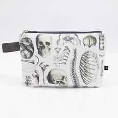 Case skeleton via Fairy Positron
