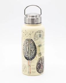 Drinking bottle/thermos "Great Women of Science" (950ml) via Fairy Positron