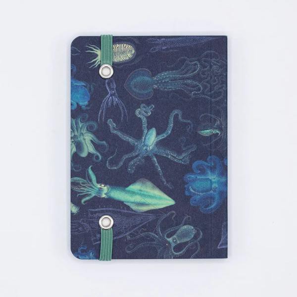 Mini Notebook "Sea Monsters: Octopus &amp; Squid" from Fairy Positron