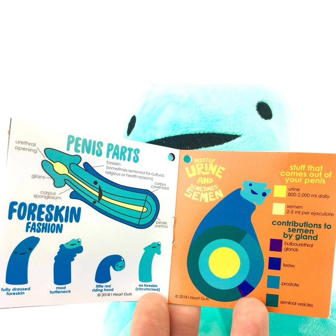Knuffel/nekkussen penis met voorhuidzakje from Fairy Positron