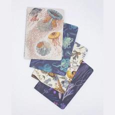 Ocean pocket notebook set via Fairy Positron