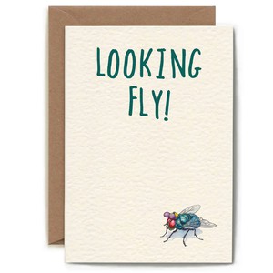 Greeting card fly "Looking fly" from Fairy Positron