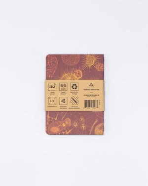 Set of pocket notebooks lab from Fairy Positron