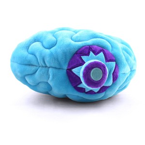 Knuffel brein - All you need is lobe from Fairy Positron