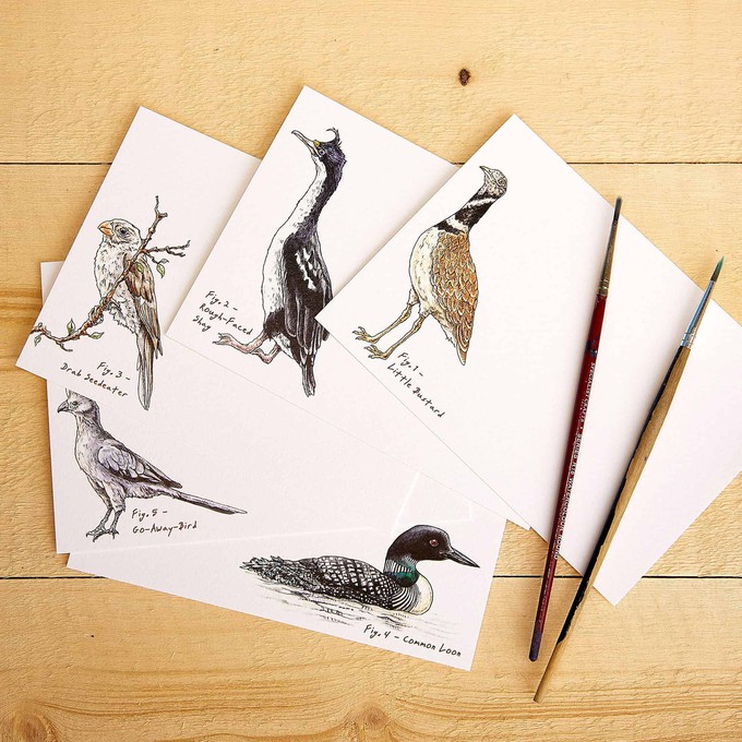 Set of 10 cards "Impeckably Fowl" from Fairy Positron