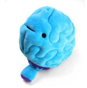 Knuffel brein - All you need is lobe from Fairy Positron
