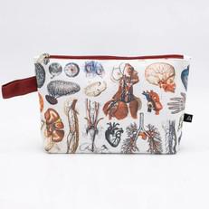Pouch anatomy via Fairy Positron