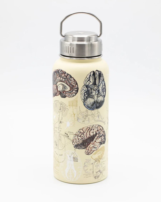 Project Cece  Drinking bottle/thermos Great Women of Science (950ml)