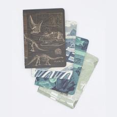 Set of earth science pocket notebooks via Fairy Positron