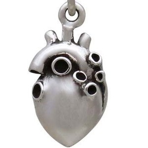 Silver earrings anatomical heart (3D) from Fairy Positron