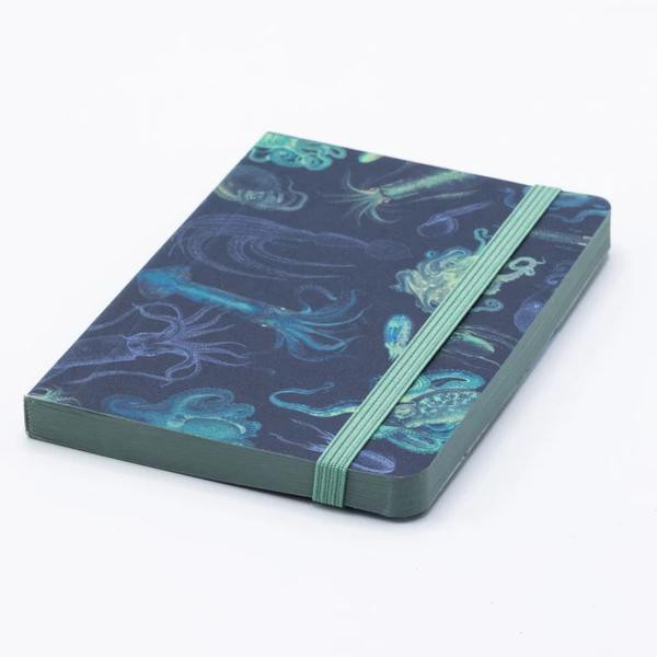 Mini Notebook "Sea Monsters: Octopus &amp; Squid" from Fairy Positron