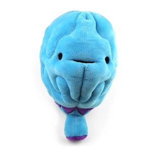 Knuffel brein - All you need is lobe from Fairy Positron