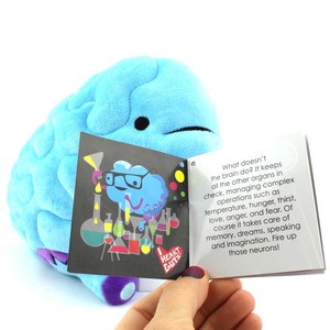 Knuffel brein - All you need is lobe from Fairy Positron