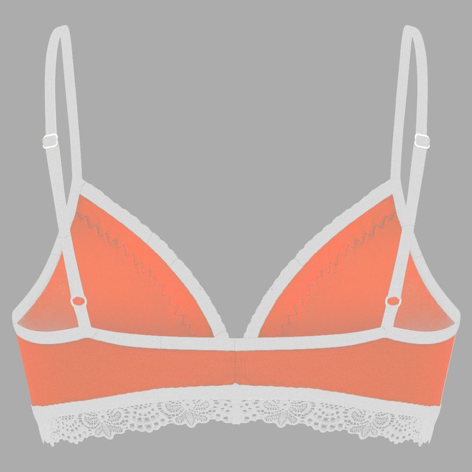 Set: Bio bra + hipster panties Spitze, sorbet from Frija Omina