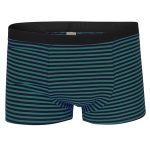 Bio Trunk Shorts teal / indico stripes from Frija Omina