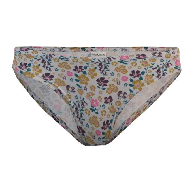 Organic briefs Gretel (grey) from Frija Omina