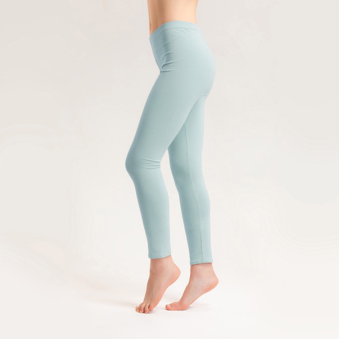 Bio Leggings, grey from Frija Omina