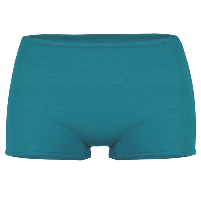 organic panties Erna teal (blue) from Frija Omina
