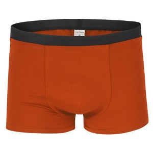 Organic men’s trunk boxer shorts, rust (brown) from Frija Omina