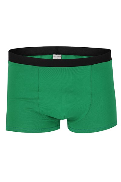 Organic men’s trunk boxer shorts, green from Frija Omina